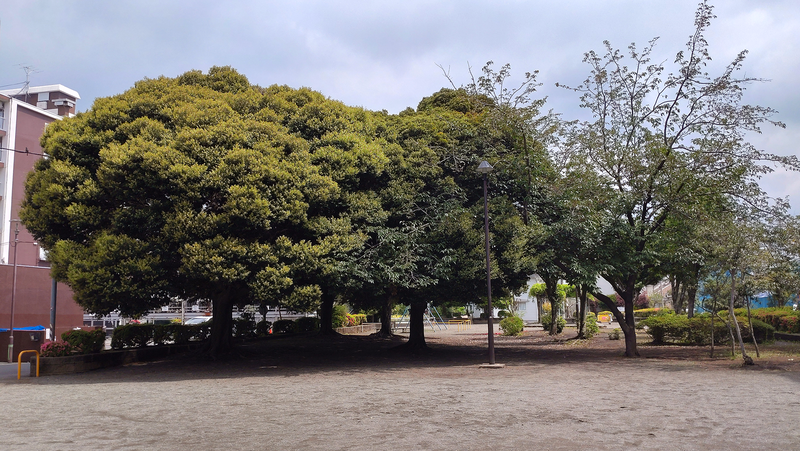 東林間公園（相模原市南区上鶴間）
