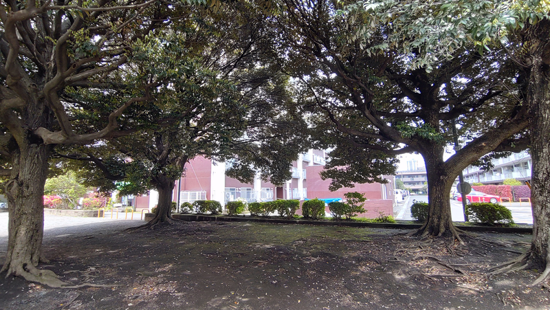 東林間公園（相模原市南区上鶴間）