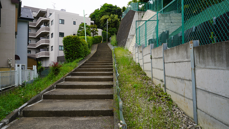 上鶴間道正山公園（相模原市南区上鶴間本町）