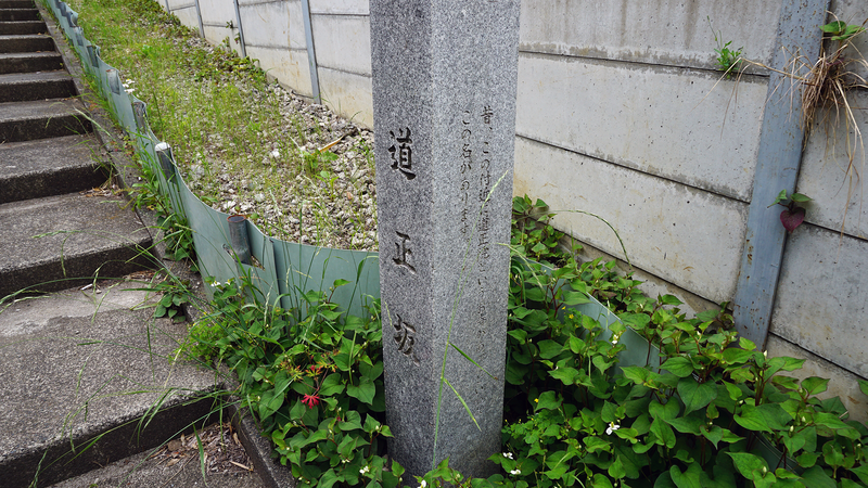上鶴間道正山公園（相模原市南区上鶴間本町）