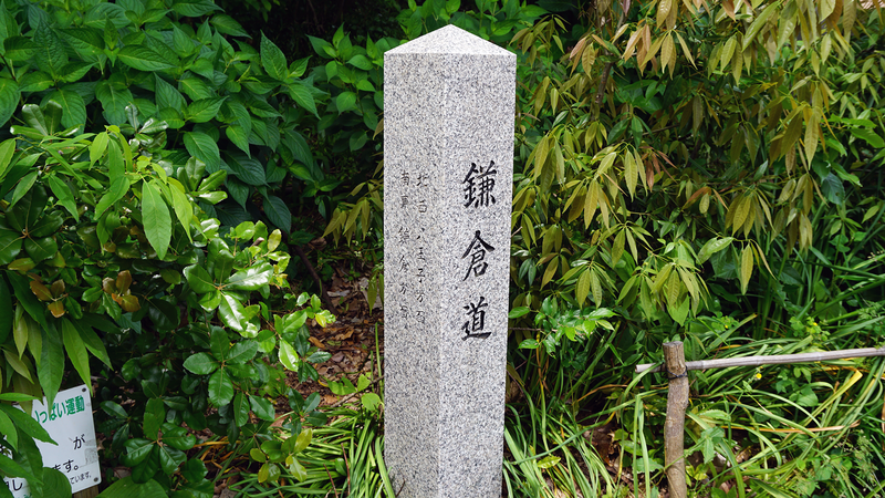 上鶴間道正山公園（相模原市南区上鶴間本町）