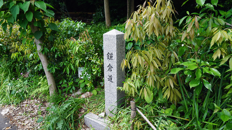 上鶴間道正山公園（相模原市南区上鶴間本町）