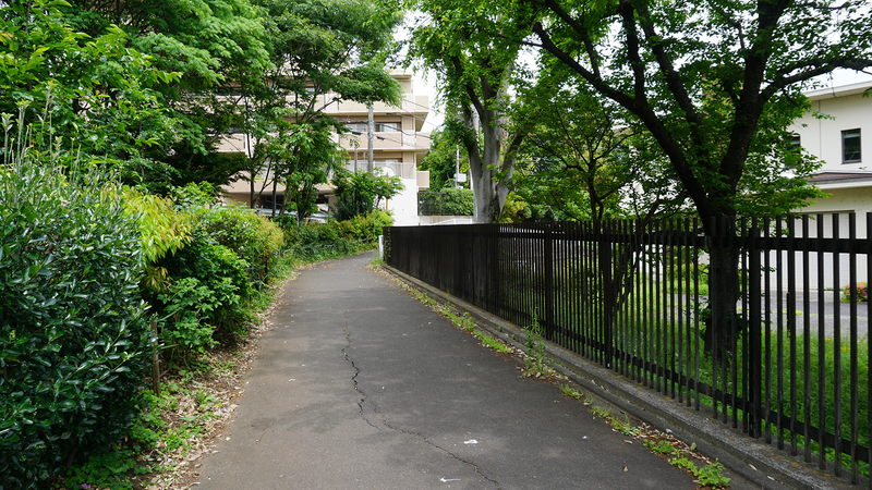 上鶴間道正山公園（相模原市南区上鶴間本町）