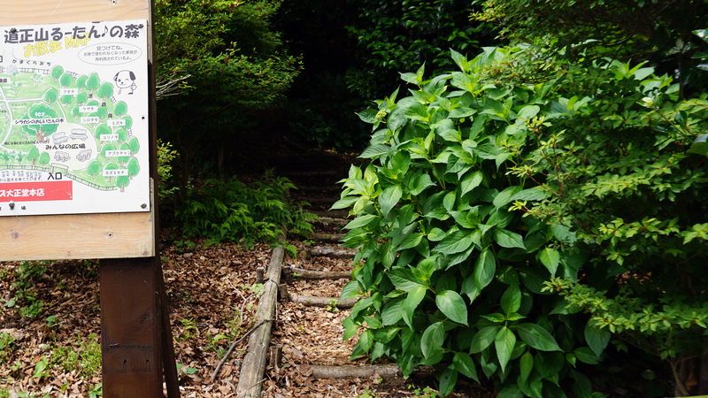 上鶴間道正山公園（相模原市南区上鶴間本町）