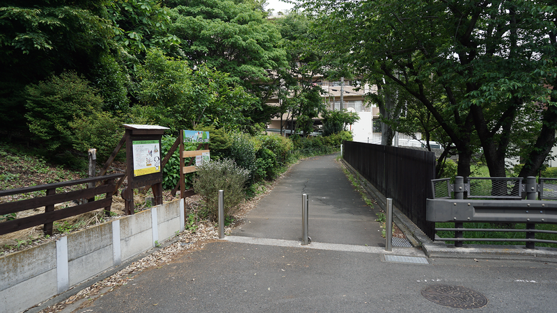 上鶴間道正山公園（相模原市南区上鶴間本町）