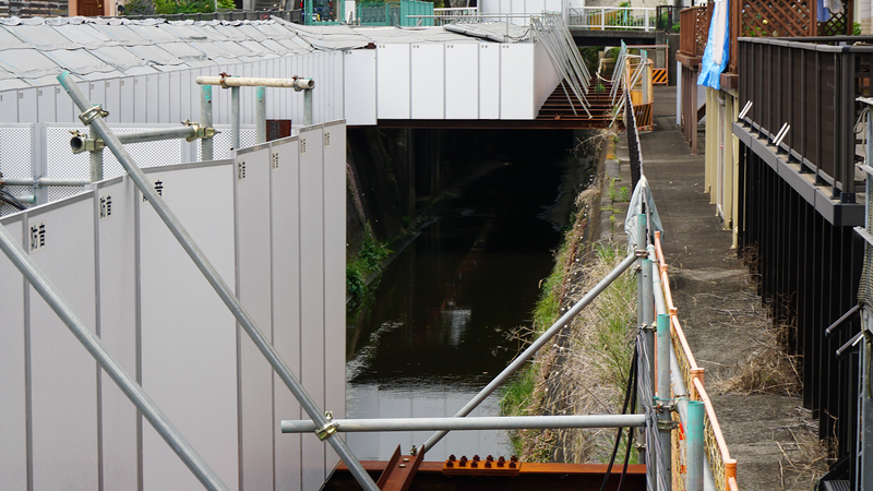 高木道正山河畔林（相模原市南区上鶴間本町）