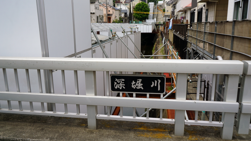 高木道正山河畔林（相模原市南区上鶴間本町）