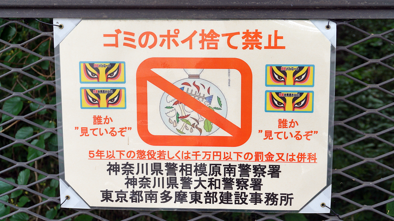 高木道正山河畔林（相模原市南区上鶴間本町）