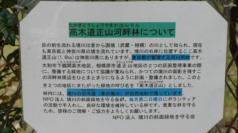 高木道正山河畔林（相模原市南区上鶴間本町）