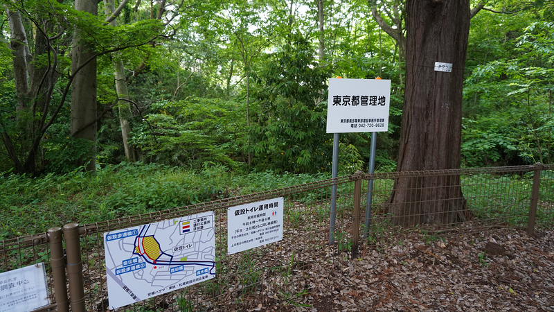 高木道正山河畔林（相模原市南区上鶴間本町）
