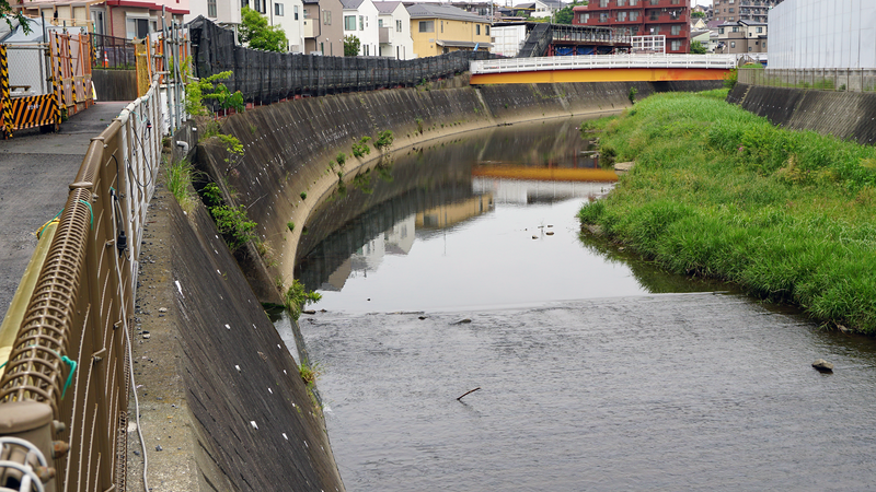 高木道正山河畔林（相模原市南区上鶴間本町）