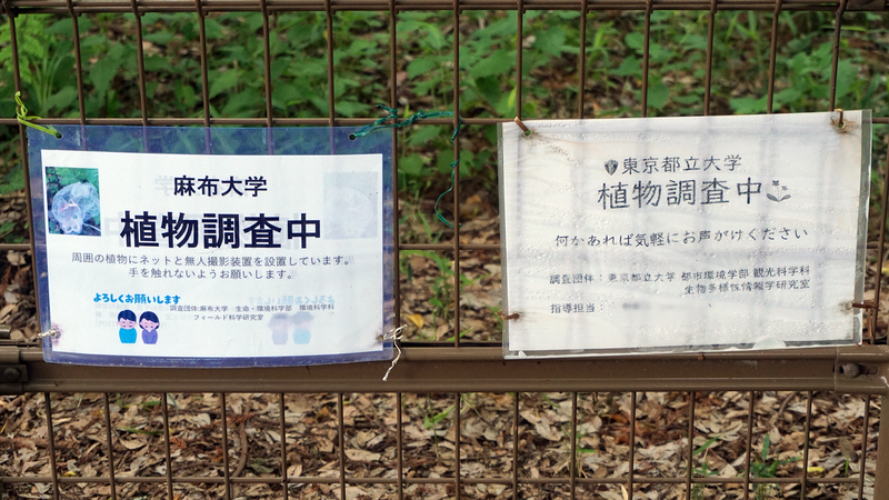 高木道正山河畔林（相模原市南区上鶴間本町）