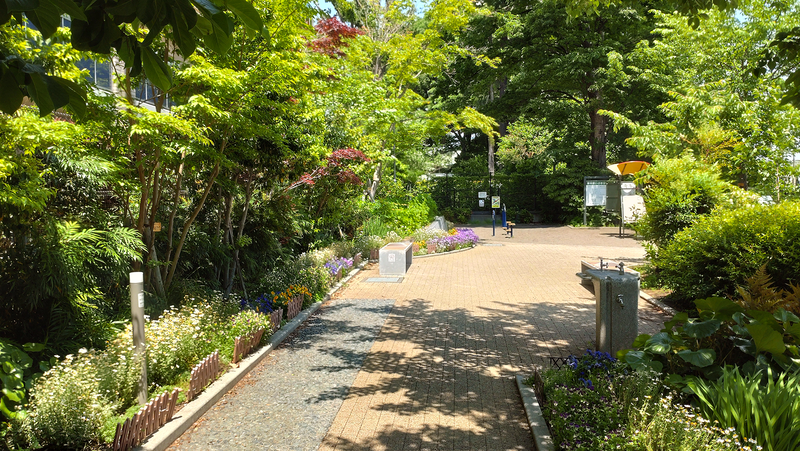林間白笹公園・東林間いぶき公園（相模原市南区上鶴間）