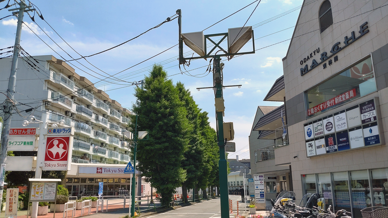 林間白笹公園・東林間いぶき公園（相模原市南区上鶴間）