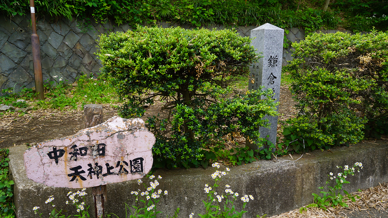 中和田天神上公園・天神稲荷（相模原市南区上鶴間本町）