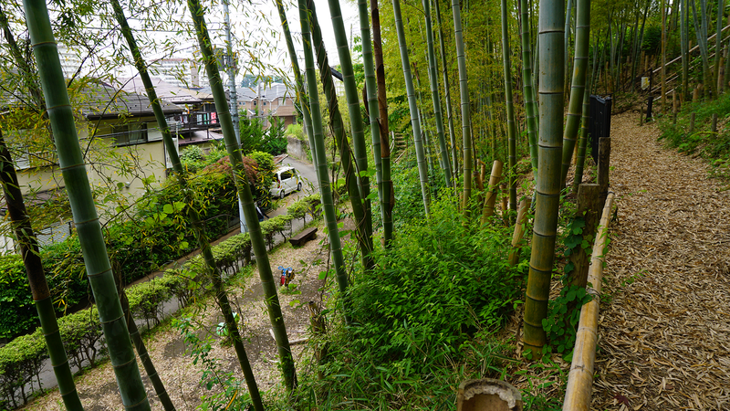 中和田天神上公園・天神稲荷（相模原市南区上鶴間本町）