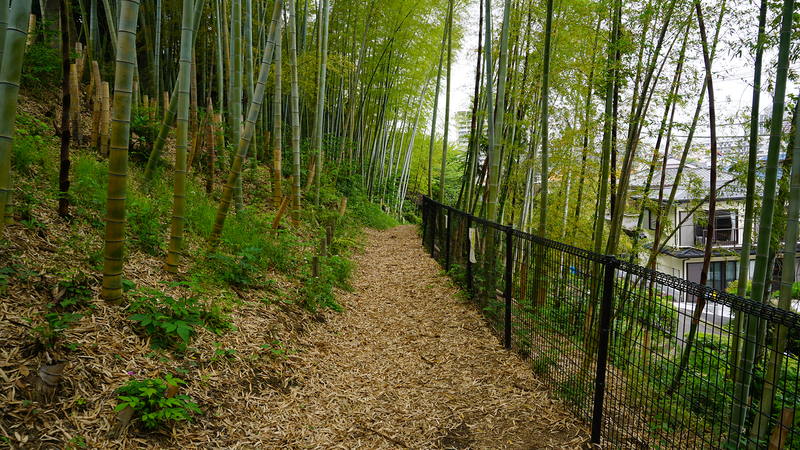 中和田天神上公園・天神稲荷（相模原市南区上鶴間本町）