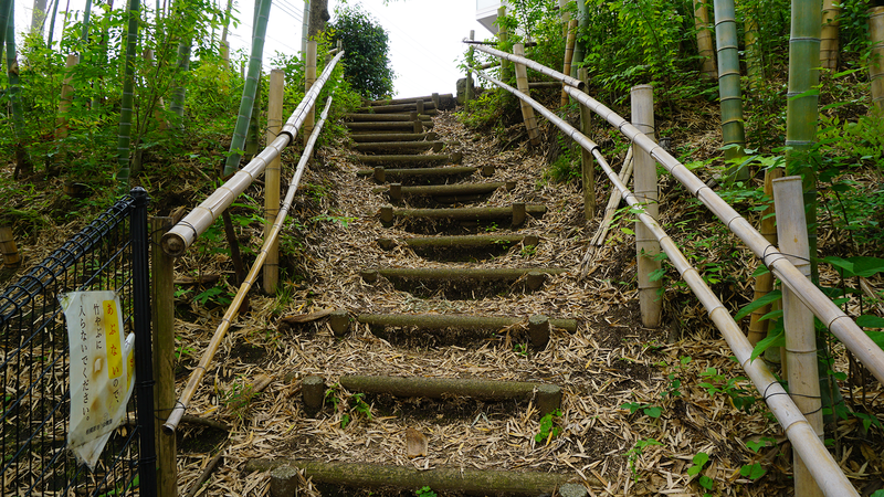 中和田天神上公園・天神稲荷（相模原市南区上鶴間本町）