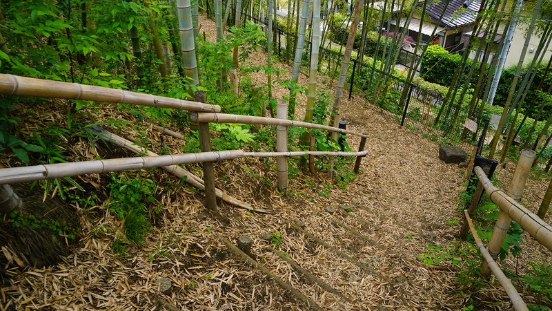 中和田天神上公園・天神稲荷（相模原市南区上鶴間本町）