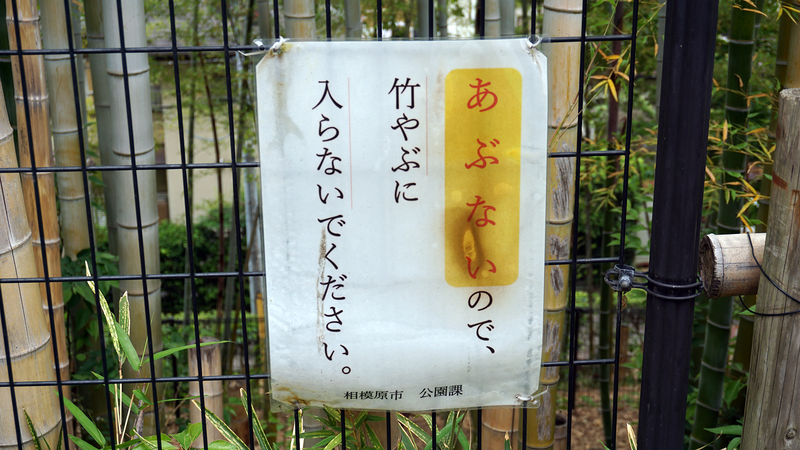 中和田天神上公園・天神稲荷（相模原市南区上鶴間本町）