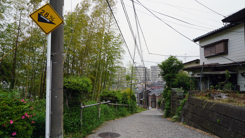 中和田天神上公園・天神稲荷（相模原市南区上鶴間本町）