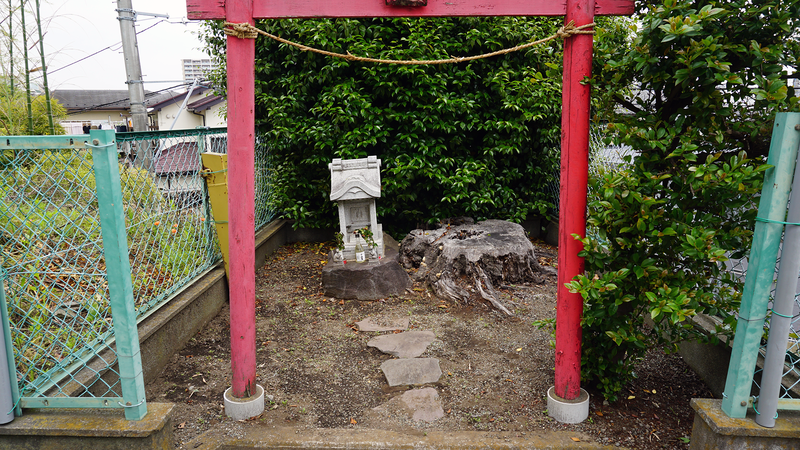 中和田天神上公園・天神稲荷（相模原市南区上鶴間本町）
