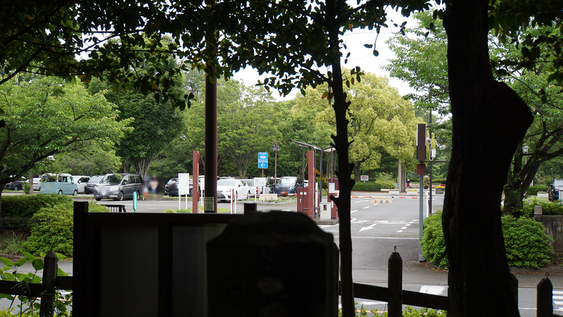 大山祗神社〈山の神神社〉（相模原市南区下溝）