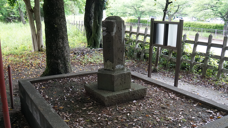 大山祗神社〈山の神神社〉（相模原市南区下溝）