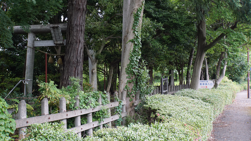 大山祗神社〈山の神神社〉（相模原市南区下溝）