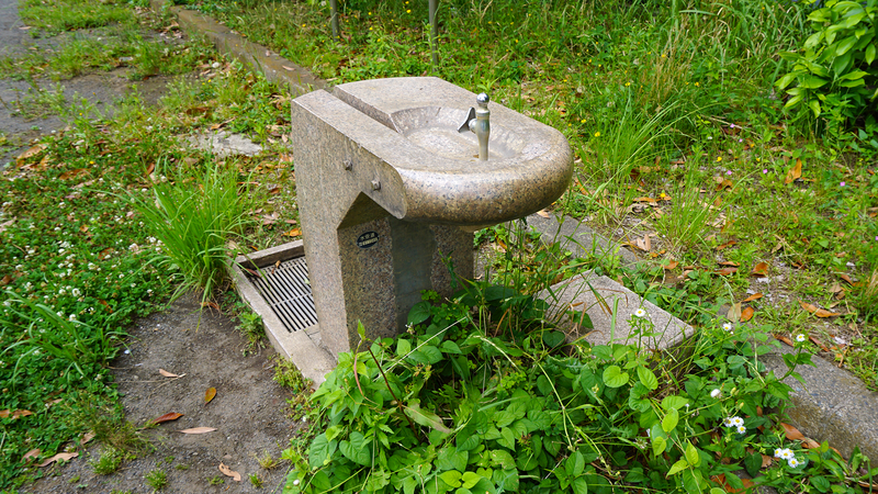 麻溝台公園（相模原市南区麻溝台）