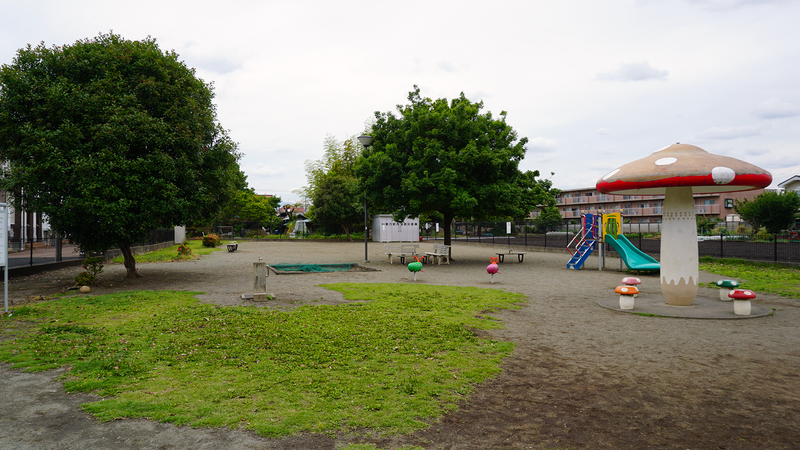 山野中央公園（相模原市南区上鶴間本町）