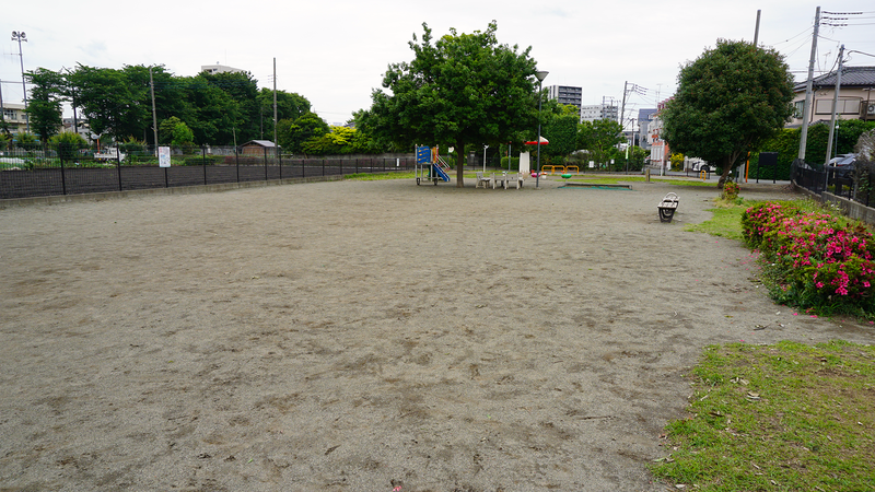 山野中央公園（相模原市南区上鶴間本町）