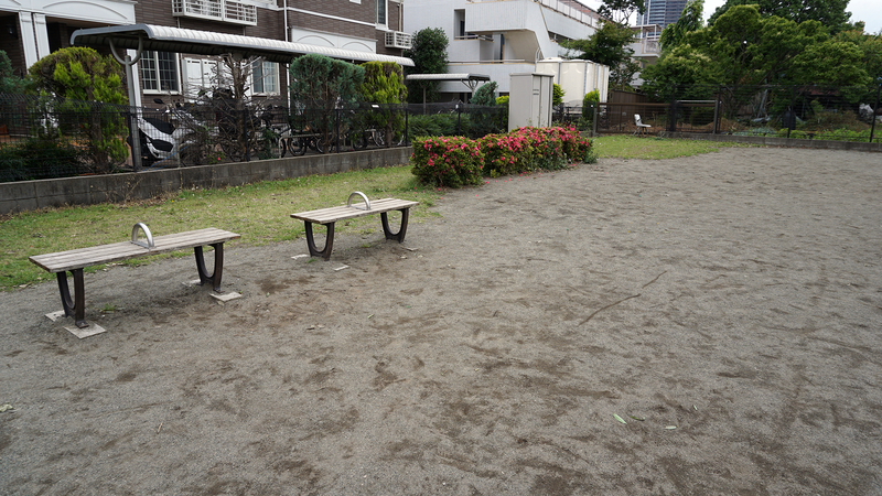 山野中央公園（相模原市南区上鶴間本町）
