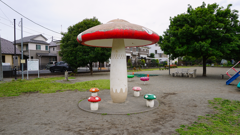 山野中央公園（相模原市南区上鶴間本町）