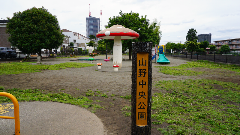 山野中央公園（相模原市南区上鶴間本町）