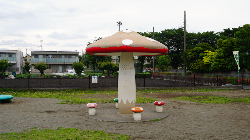 山野中央公園（相模原市南区上鶴間本町）