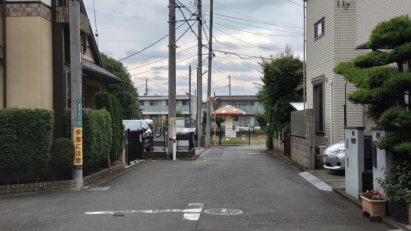 山野中央公園（相模原市南区上鶴間本町）