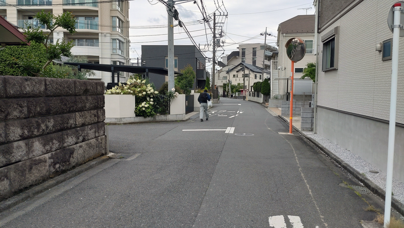 山野中央公園（相模原市南区上鶴間本町）