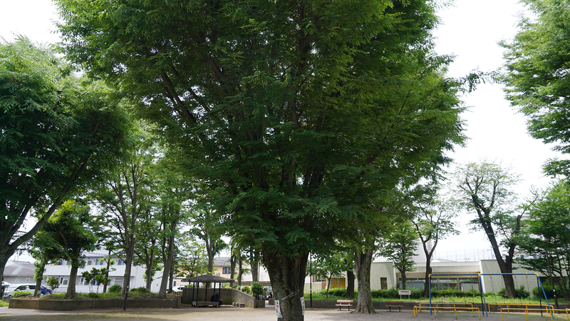 新磯野公園（相模原市南区新磯野）