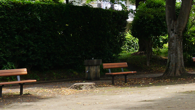 新磯野公園（相模原市南区新磯野）