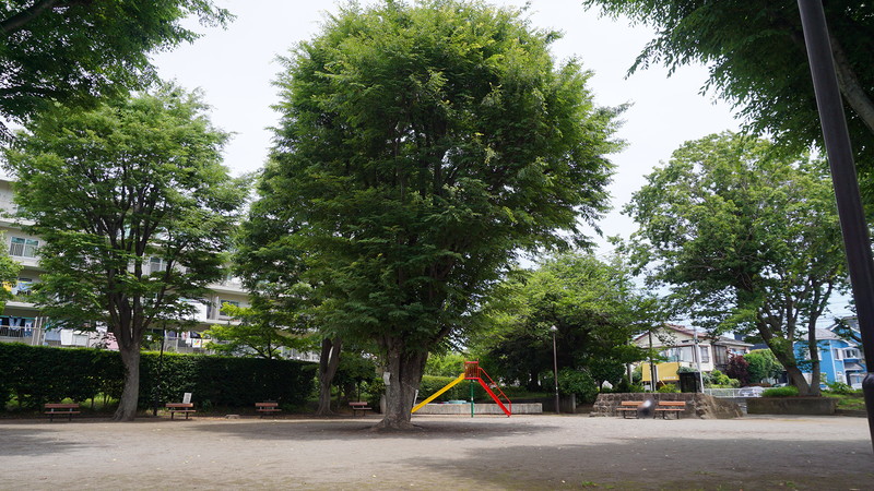 新磯野公園（相模原市南区新磯野）