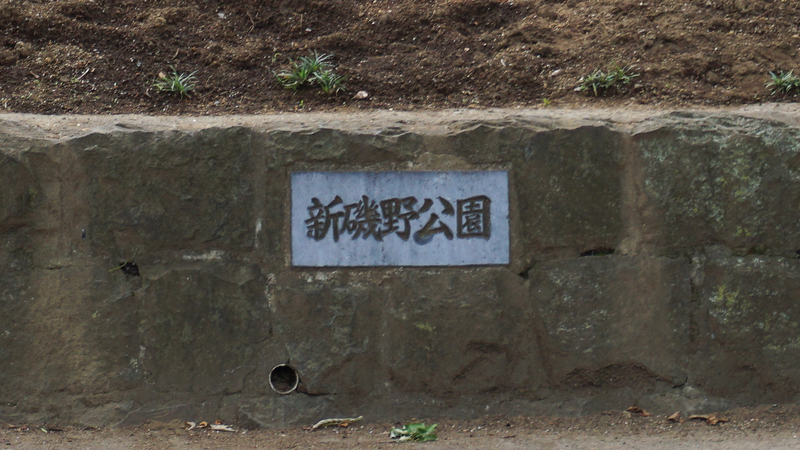 新磯野公園（相模原市南区新磯野）