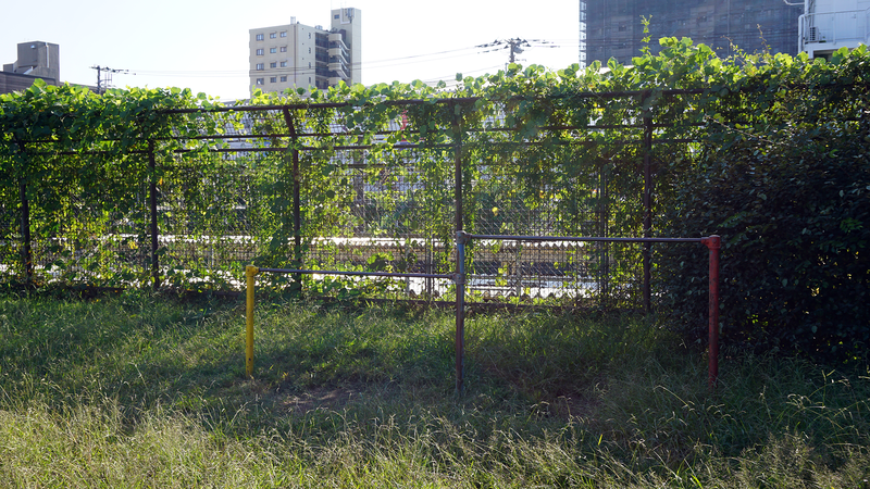 古淵北公園（相模原市南区古淵）