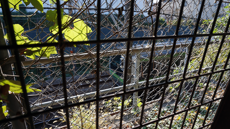 古淵北公園（相模原市南区古淵）