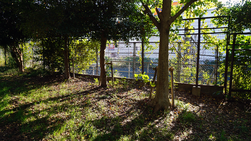 古淵北公園（相模原市南区古淵）