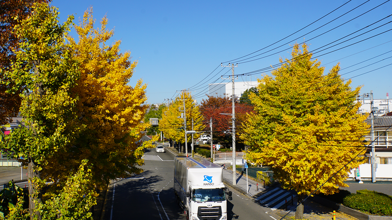 県道508号線① ―厚木城山線を歩いてみた―