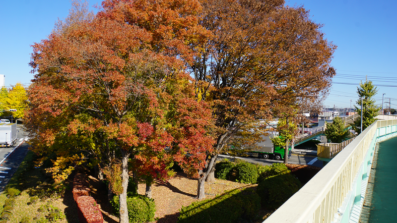 県道508号線① ―厚木城山線を歩いてみた―