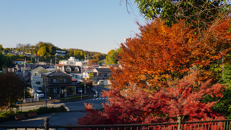 県道508号線⑤ ―厚木城山線を歩いてみた―