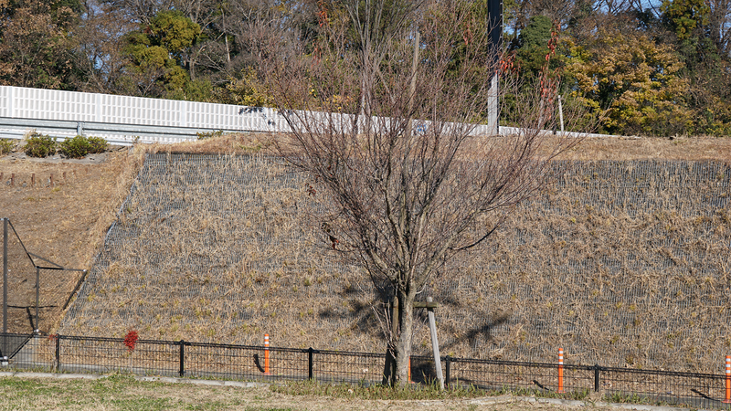 当麻宿さくら第１公園 （相模原市南区当麻）