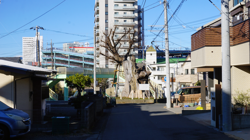 お正月初詣散歩2026②